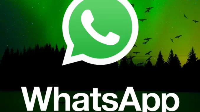 runtobet-whatsapp